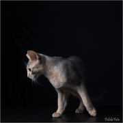 _H8A9604_web