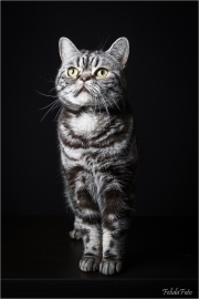 _05B6655_web