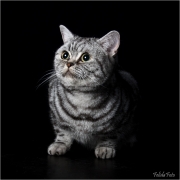 _H8A0382_web