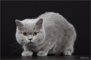 _H8A9371-3_web