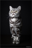_05B6655_web