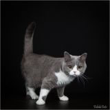 _05B7515_web