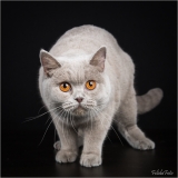 _05B7952_web