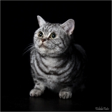 _H8A0382_web