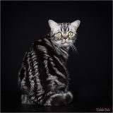 _H8A2289_web