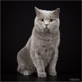 _H8A9290-3_web