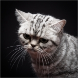_H8A9747-3_web