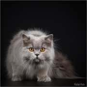 _05B3948_web