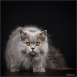 _05B3948_web