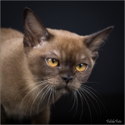 _05B9780_web