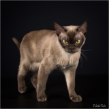 _05B5207_web