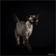 _H8A2917_web
