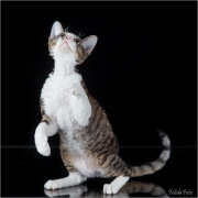 IMG_6206-Edit_web
