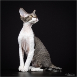 _H8A9412-3_web