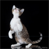 IMG_6206-Edit_web
