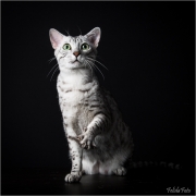 _05B2866_web