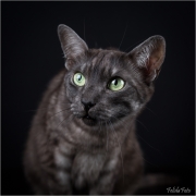 _05B8174_web