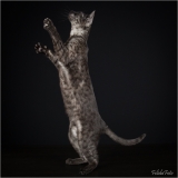 _05B1718_web