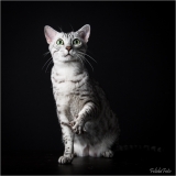 _05B2866_web