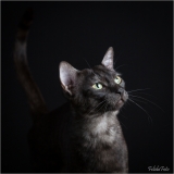 _05B3040_web