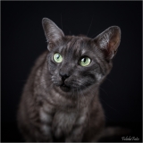 _05B8174_web