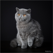 _05B1904_web