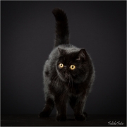 _05B3185_web