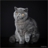 _05B1904_web