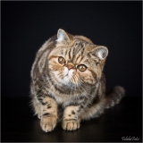 _05B6038_web