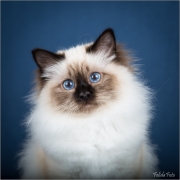 _05B6822_web