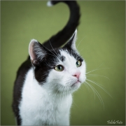 _05B3729_web