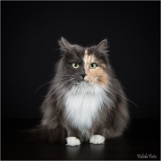 _05B3876_web