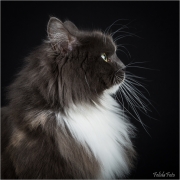 _05B3882_web