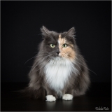 _05B3876_web
