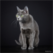 _H8A2549_web