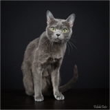_05B1053_web