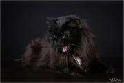 _05B3491_web