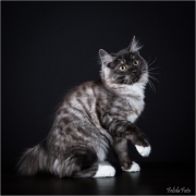 _05B5665_web