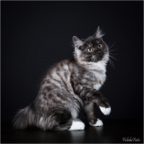 _05B5665_web