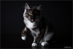 _05B5715_web