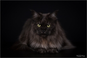_05B5937_web