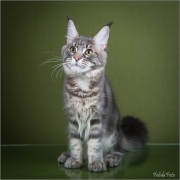 _05B6896_web