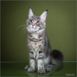 _05B6896_web