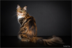 _05B9005_web
