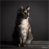 _H8A6789_web