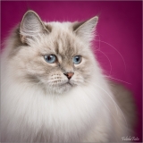 _05B5735_web