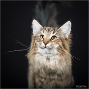 _05B0043-2_web