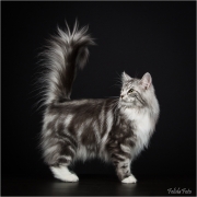 _05B3060_web