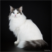 _05B3101_web