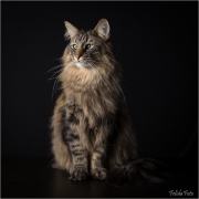 _05B5355_web